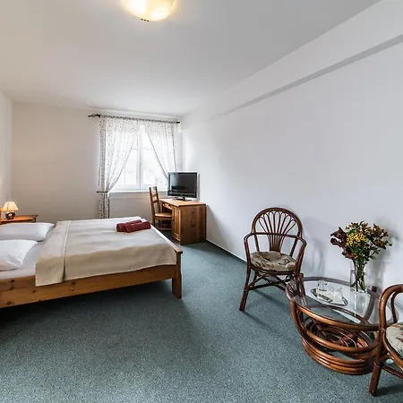 Hotel Valašský A Pivní Lázně Ogar 3*