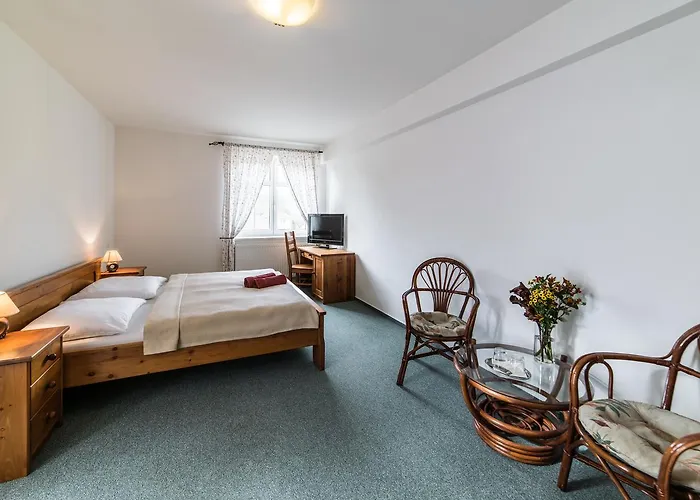 Hotel Valassky A Pivni Lazne Ogar 3*